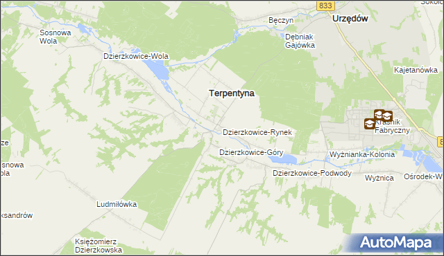 mapa Dzierzkowice-Rynek, Dzierzkowice-Rynek na mapie Targeo