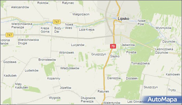 mapa Gruszczyn gmina Lipsko, Gruszczyn gmina Lipsko na mapie Targeo