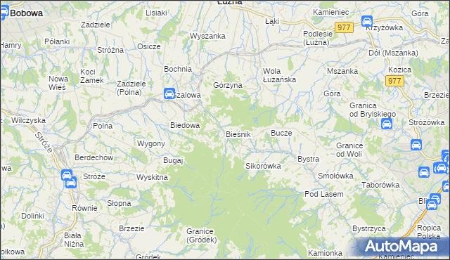 mapa Bieśnik gmina Łużna, Bieśnik gmina Łużna na mapie Targeo