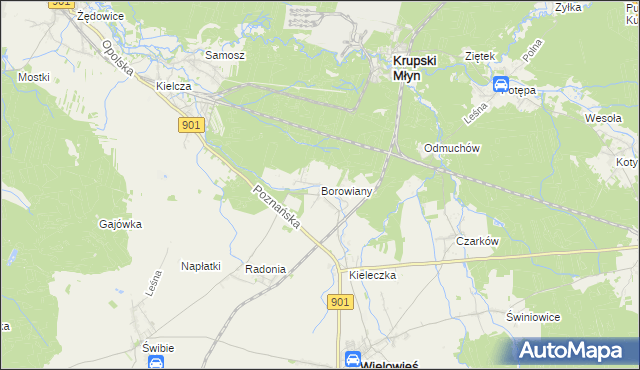 mapa Borowiany, Borowiany na mapie Targeo