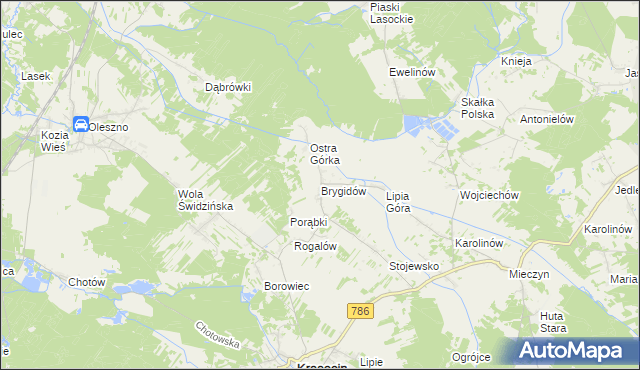 mapa Brygidów, Brygidów na mapie Targeo