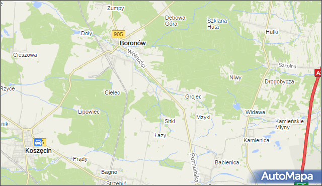 mapa Hucisko gmina Boronów, Hucisko gmina Boronów na mapie Targeo