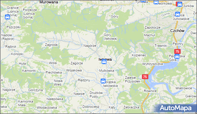 mapa Iwkowa, Iwkowa na mapie Targeo