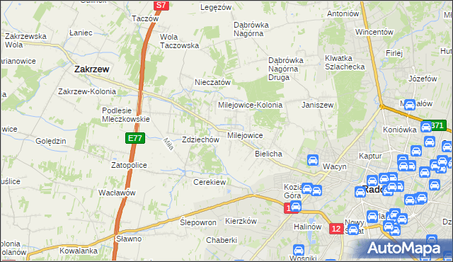 mapa Milejowice gmina Zakrzew, Milejowice gmina Zakrzew na mapie Targeo
