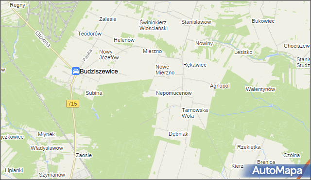 mapa Nepomucenów gmina Budziszewice, Nepomucenów gmina Budziszewice na mapie Targeo