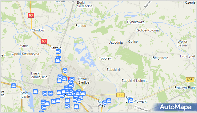 mapa Topórek, Topórek na mapie Targeo