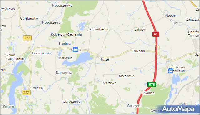 mapa Turze gmina Tczew, Turze gmina Tczew na mapie Targeo