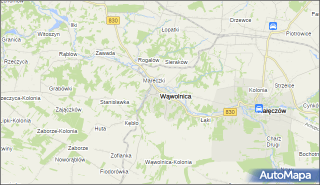 mapa Wąwolnica powiat puławski, Wąwolnica powiat puławski na mapie Targeo