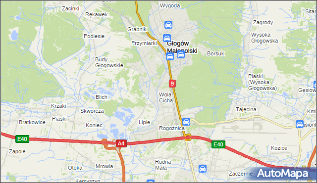 mapa Wola Cicha, Wola Cicha na mapie Targeo