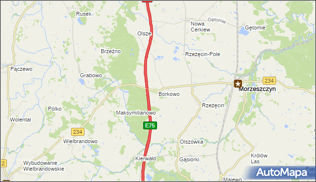 mapa Borkowo gmina Morzeszczyn, Borkowo gmina Morzeszczyn na mapie Targeo