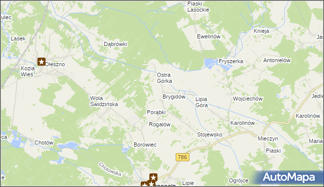 mapa Brygidów, Brygidów na mapie Targeo