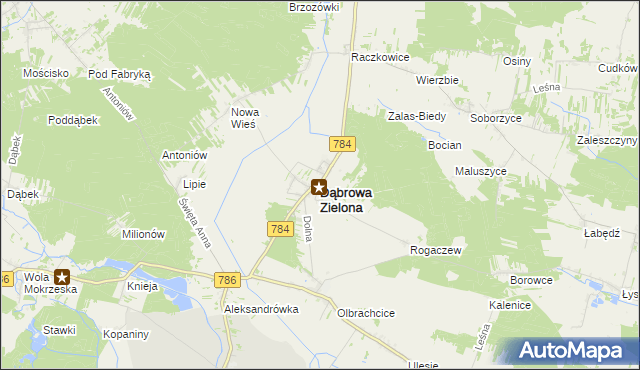 mapa Dąbrowa Zielona, Dąbrowa Zielona na mapie Targeo