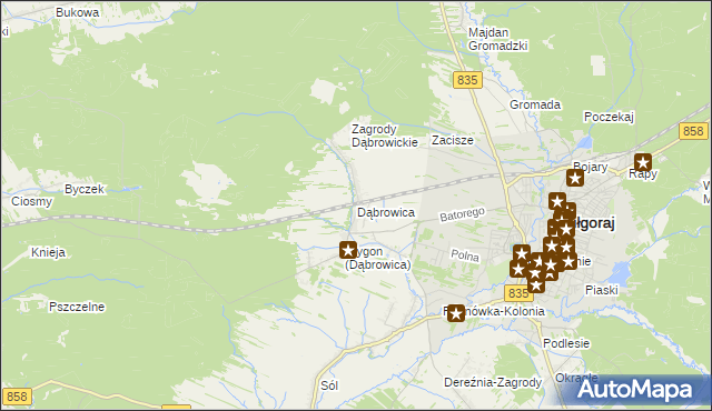 mapa Dąbrowica gmina Biłgoraj, Dąbrowica gmina Biłgoraj na mapie Targeo