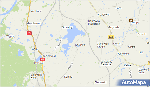 mapa Koślinka gmina Sztum, Koślinka gmina Sztum na mapie Targeo