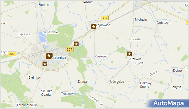 mapa Kozłowo gmina Opalenica, Kozłowo gmina Opalenica na mapie Targeo