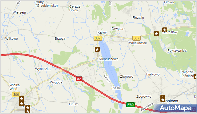 mapa Niepruszewo, Niepruszewo na mapie Targeo