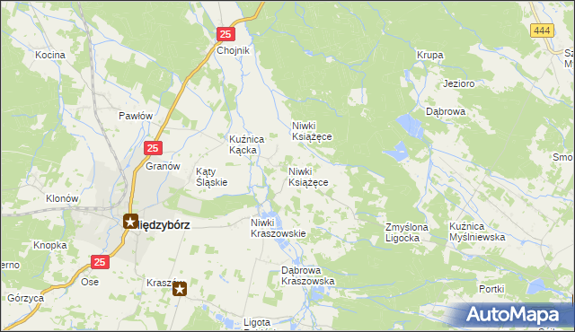 mapa Niwki Książęce gmina Międzybórz, Niwki Książęce gmina Międzybórz na mapie Targeo