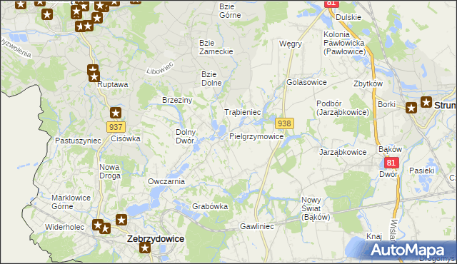 mapa Pielgrzymowice gmina Pawłowice, Pielgrzymowice gmina Pawłowice na mapie Targeo