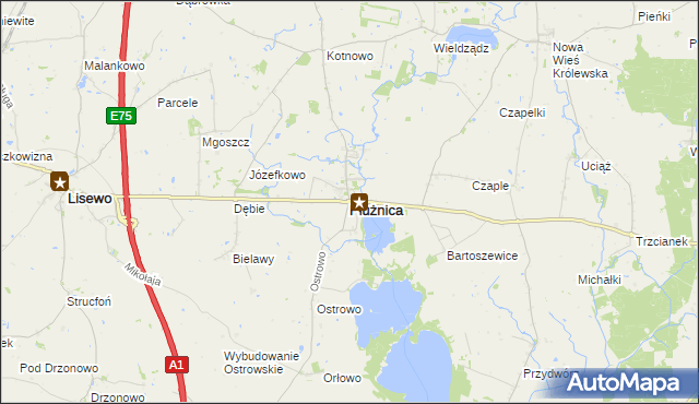 mapa Płużnica, Płużnica na mapie Targeo