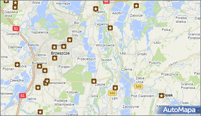 mapa Skidziń, Skidziń na mapie Targeo