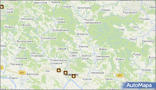 mapa Śliwnica gmina Dubiecko, Śliwnica gmina Dubiecko na mapie Targeo