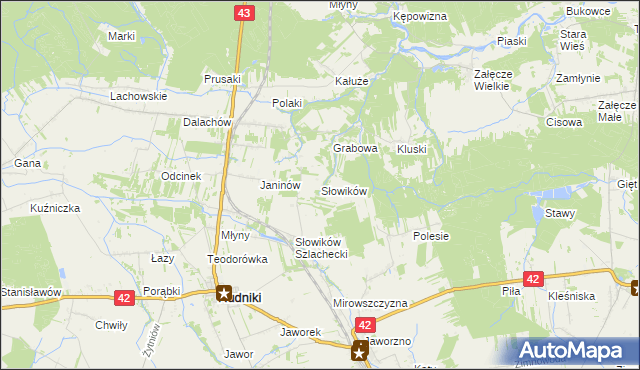 mapa Słowików gmina Rudniki, Słowików gmina Rudniki na mapie Targeo