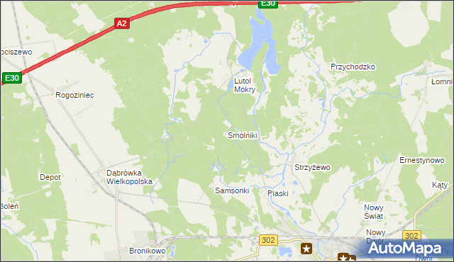 mapa Smolniki gmina Trzciel, Smolniki gmina Trzciel na mapie Targeo