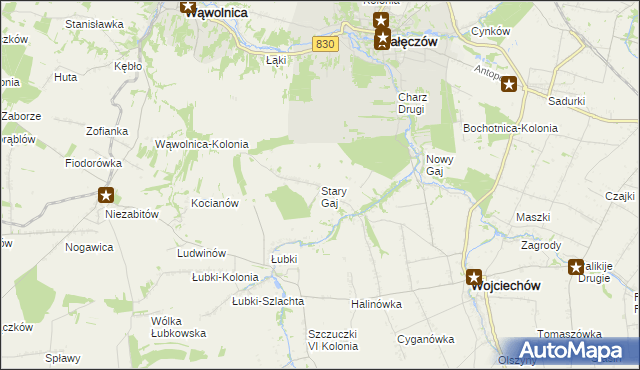 mapa Stary Gaj gmina Wojciechów, Stary Gaj gmina Wojciechów na mapie Targeo