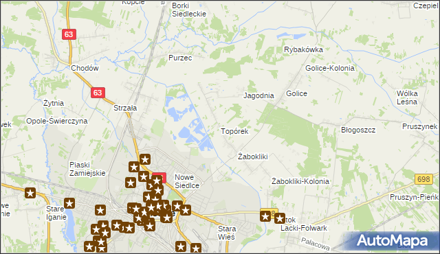 mapa Topórek, Topórek na mapie Targeo