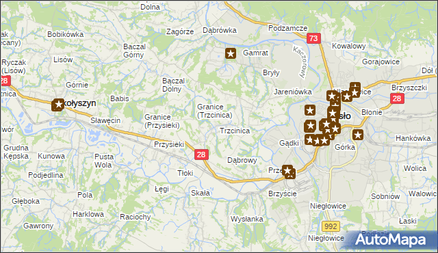 mapa Trzcinica gmina Jasło, Trzcinica gmina Jasło na mapie Targeo