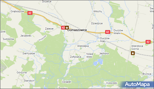 mapa Wielołęka gmina Domaszowice, Wielołęka gmina Domaszowice na mapie Targeo