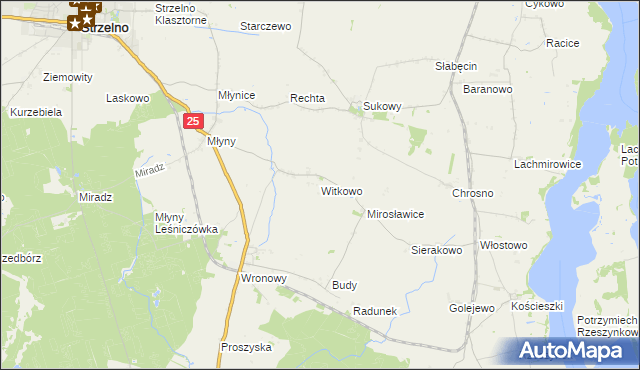 mapa Witkowo gmina Strzelno, Witkowo gmina Strzelno na mapie Targeo