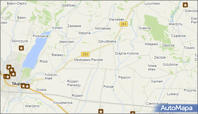 mapa Żelazków gmina Słupca, Żelazków gmina Słupca na mapie Targeo