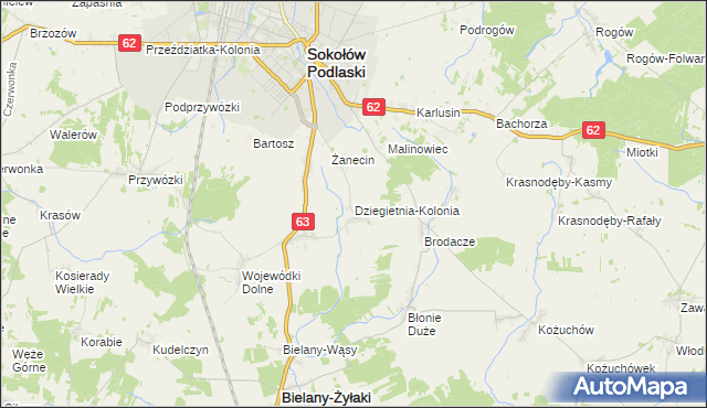 mapa Dziegietnia-Kolonia, Dziegietnia-Kolonia na mapie Targeo