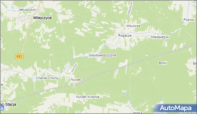 mapa Borowiki, Borowiki na mapie Targeo