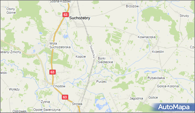 mapa Borki Siedleckie, Borki Siedleckie na mapie Targeo