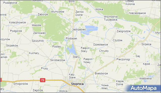 mapa Falęcin Stary, Falęcin Stary na mapie Targeo