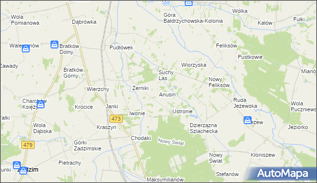 mapa Anusin gmina Zadzim, Anusin gmina Zadzim na mapie Targeo
