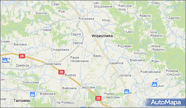 mapa Bajdy gmina Wojaszówka, Bajdy gmina Wojaszówka na mapie Targeo