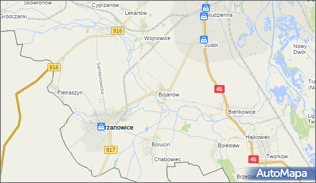 mapa Bojanów gmina Krzanowice, Bojanów gmina Krzanowice na mapie Targeo