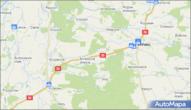 mapa Boraszyce Małe, Boraszyce Małe na mapie Targeo