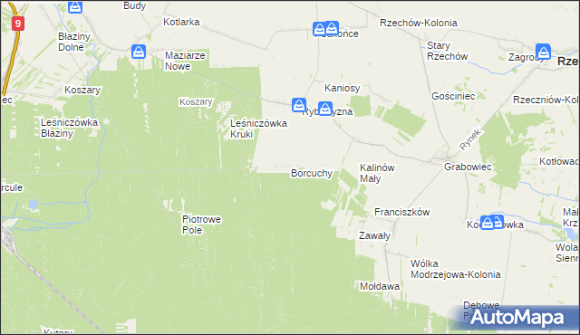 mapa Borcuchy gmina Rzeczniów, Borcuchy gmina Rzeczniów na mapie Targeo