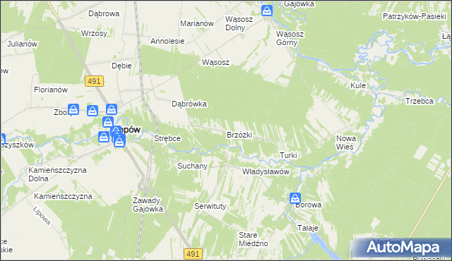 mapa Brzózki gmina Popów, Brzózki gmina Popów na mapie Targeo
