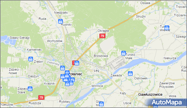 mapa Brzozowa gmina Połaniec, Brzozowa gmina Połaniec na mapie Targeo
