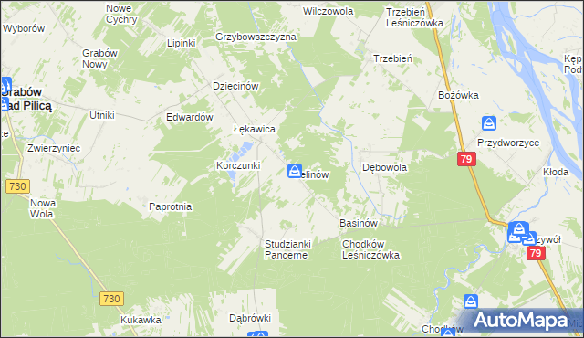 mapa Celinów gmina Grabów nad Pilicą, Celinów gmina Grabów nad Pilicą na mapie Targeo