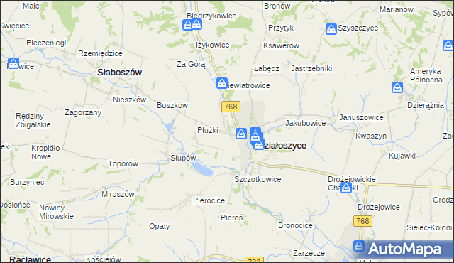 mapa Chmielów gmina Działoszyce, Chmielów gmina Działoszyce na mapie Targeo