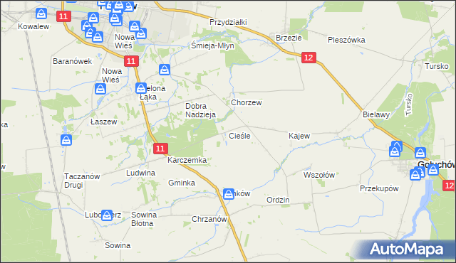 mapa Cieśle gmina Gołuchów, Cieśle gmina Gołuchów na mapie Targeo