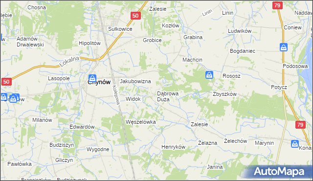 mapa Dąbrowa Duża gmina Chynów, Dąbrowa Duża gmina Chynów na mapie Targeo