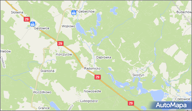 mapa Dąbrówka gmina Maszewo, Dąbrówka gmina Maszewo na mapie Targeo
