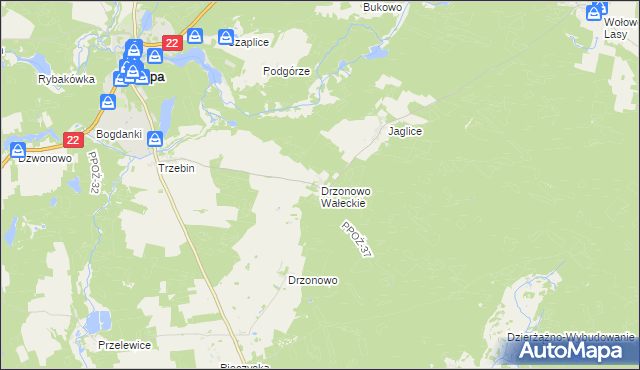 mapa Drzonowo Wałeckie, Drzonowo Wałeckie na mapie Targeo